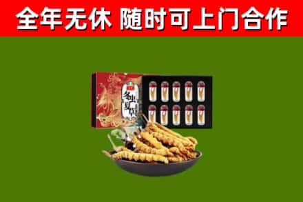 景泰烟酒回收冬虫夏草礼盒.jpg