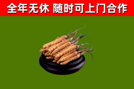 景泰烟酒回收冬虫夏草.jpg